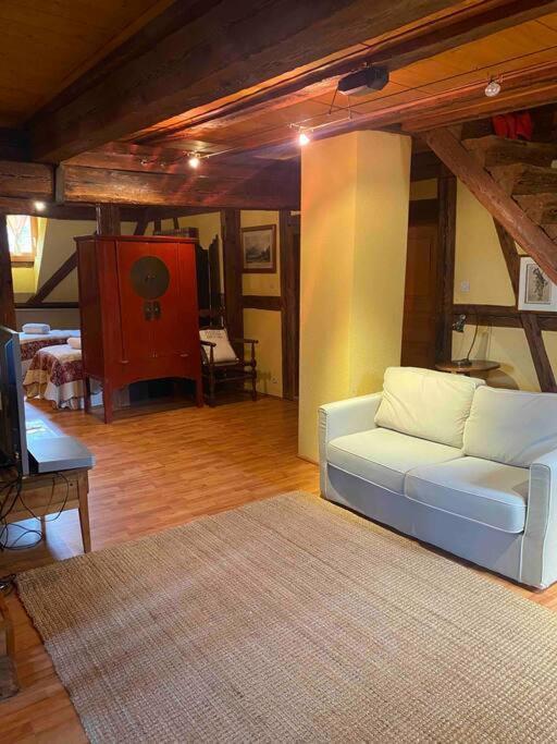Le Majestueux Dans Le Centre Historique Apartment Riquewihr Exterior foto